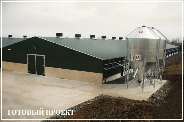 Этапы возведения птицефабрики от завода ВелесТент-злн
